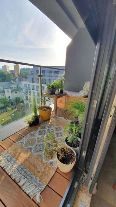 Apartment In City Center Przemyśl Dış mekan fotoğraf