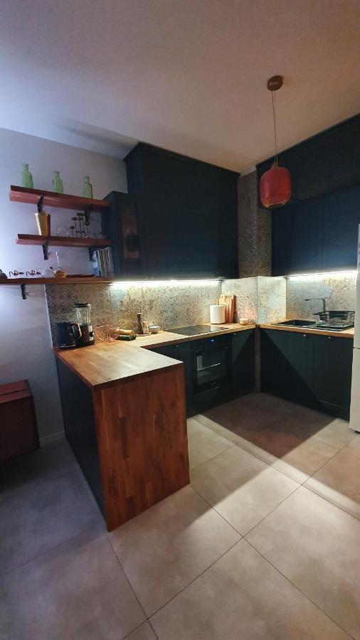 Apartment In City Center Przemyśl Dış mekan fotoğraf